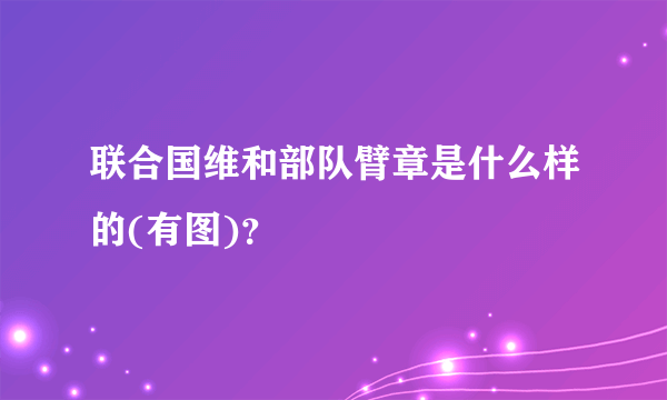 联合国维和部队臂章是什么样的(有图)？