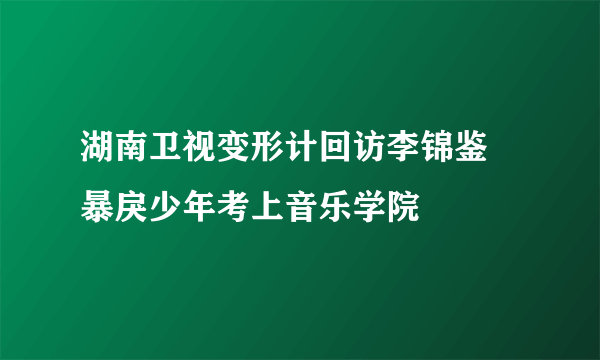 湖南卫视变形计回访李锦鉴 暴戾少年考上音乐学院