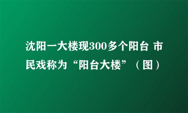 沈阳一大楼现300多个阳台 市民戏称为“阳台大楼”（图）