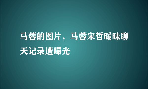 马蓉的图片，马蓉宋哲暧昧聊天记录遭曝光 