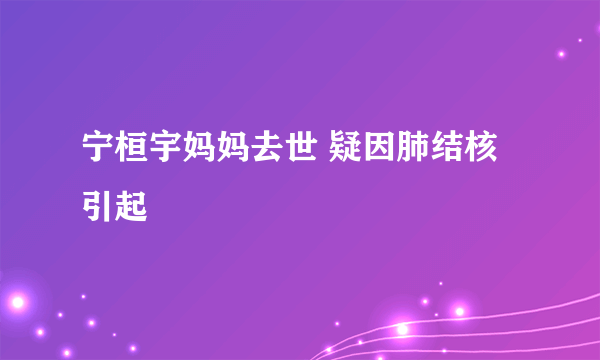 宁桓宇妈妈去世 疑因肺结核引起