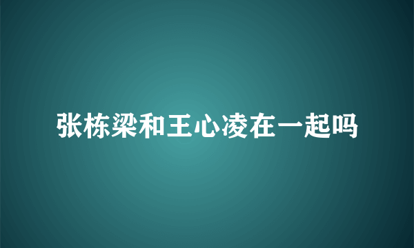 张栋梁和王心凌在一起吗