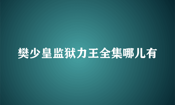 樊少皇监狱力王全集哪儿有