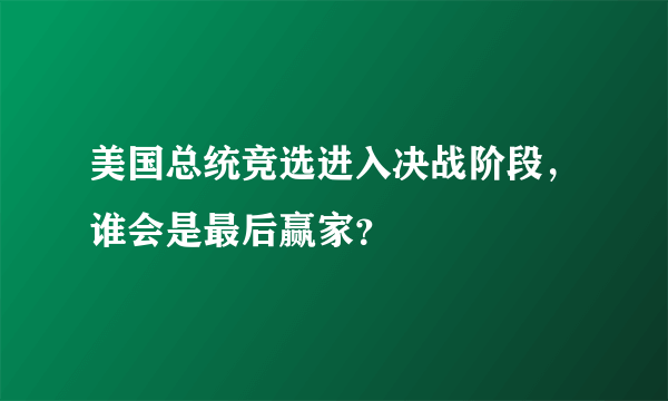 美国总统竞选进入决战阶段，谁会是最后赢家？