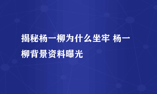 揭秘杨一柳为什么坐牢 杨一柳背景资料曝光