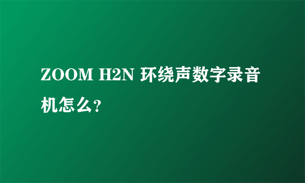 ZOOM H2N 环绕声数字录音机怎么？
