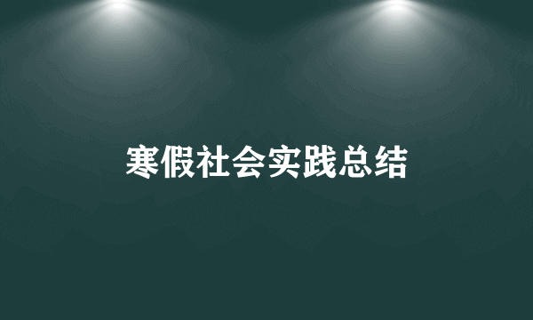 寒假社会实践总结