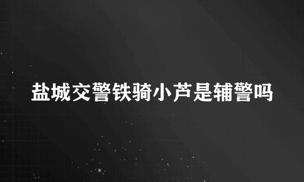 盐城交警铁骑小芦是辅警吗