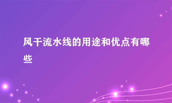 风干流水线的用途和优点有哪些