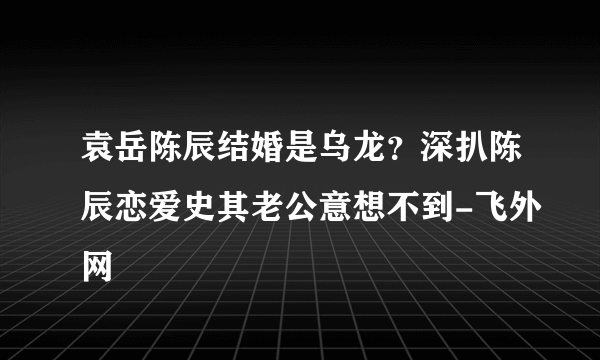 袁岳陈辰结婚是乌龙？深扒陈辰恋爱史其老公意想不到-飞外网