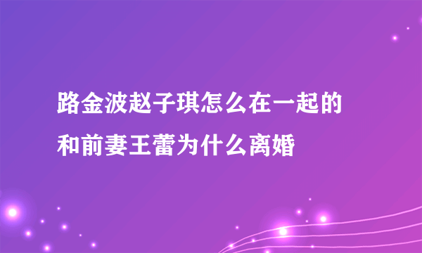 路金波赵子琪怎么在一起的 和前妻王蕾为什么离婚