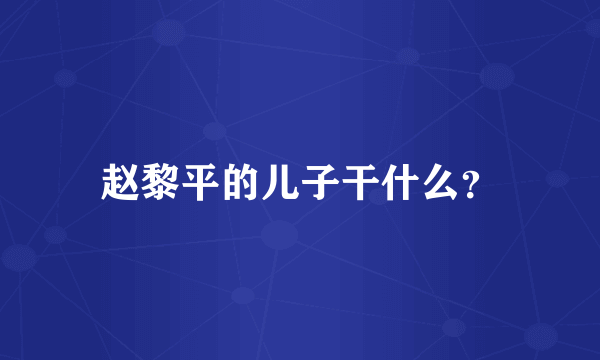 赵黎平的儿子干什么？