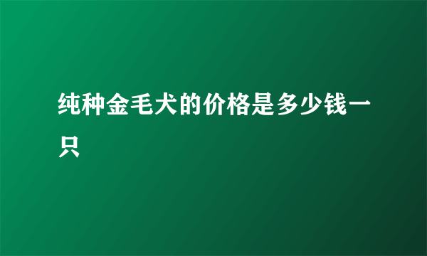 纯种金毛犬的价格是多少钱一只