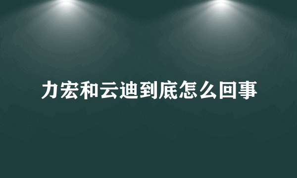 力宏和云迪到底怎么回事