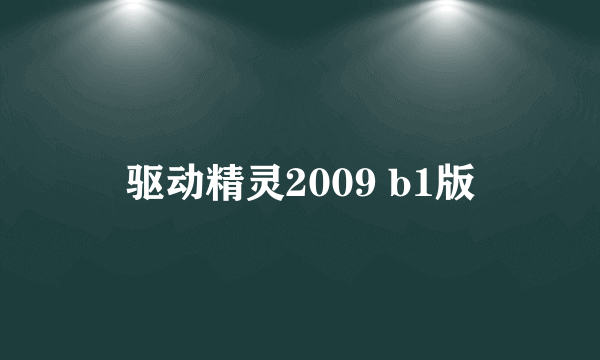 驱动精灵2009 b1版