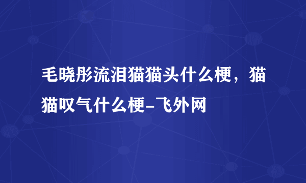 毛晓彤流泪猫猫头什么梗，猫猫叹气什么梗-飞外网