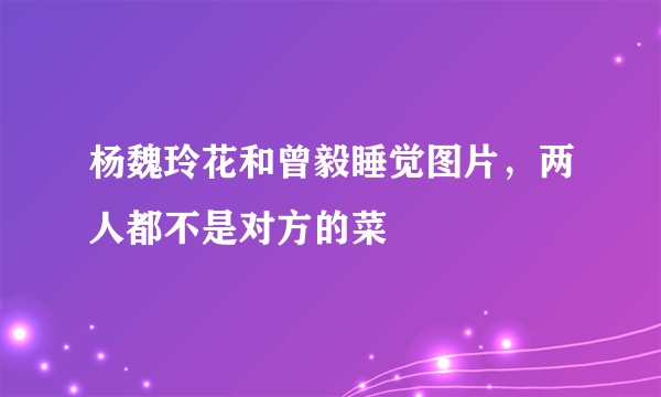 杨魏玲花和曾毅睡觉图片，两人都不是对方的菜 