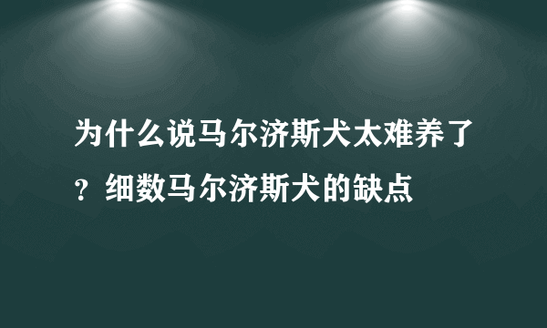 为什么说马尔济斯犬太难养了？细数马尔济斯犬的缺点