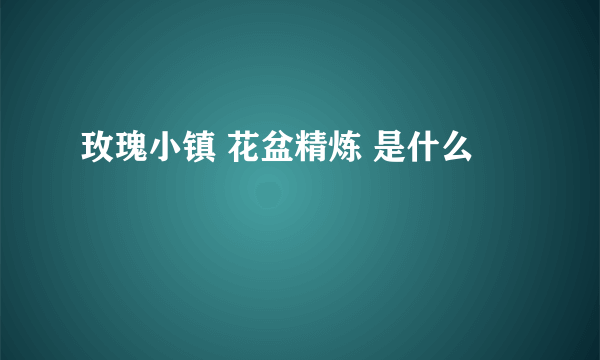 玫瑰小镇 花盆精炼 是什么