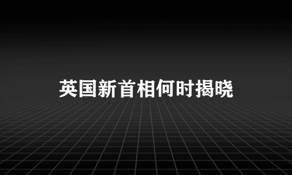 英国新首相何时揭晓