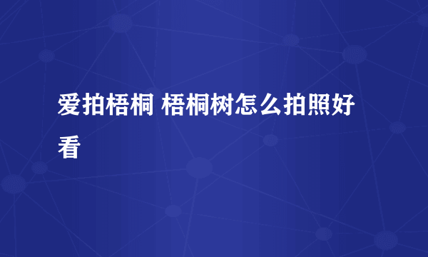 爱拍梧桐 梧桐树怎么拍照好看