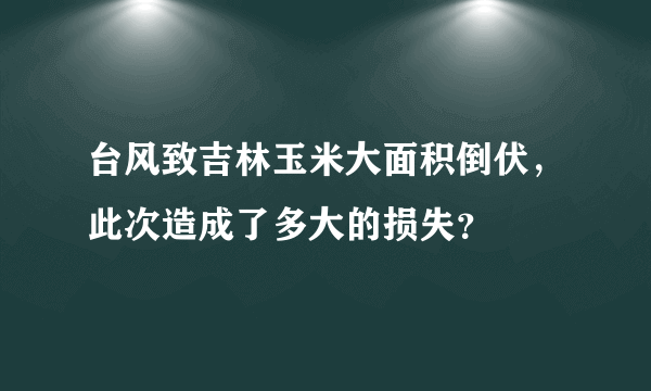 台风致吉林玉米大面积倒伏，此次造成了多大的损失？