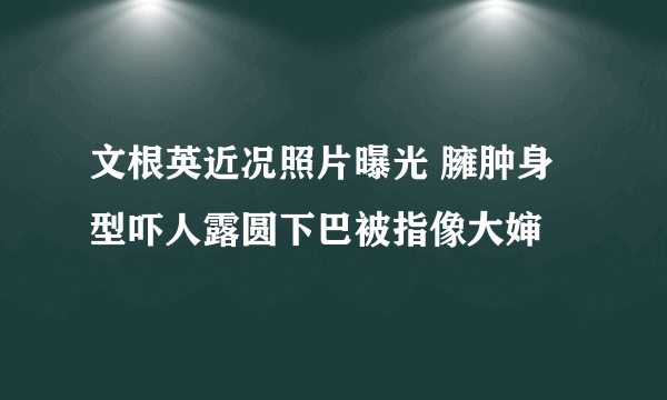 文根英近况照片曝光 臃肿身型吓人露圆下巴被指像大婶