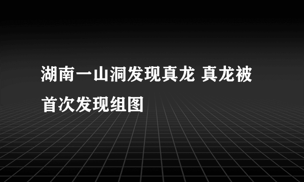 湖南一山洞发现真龙 真龙被首次发现组图