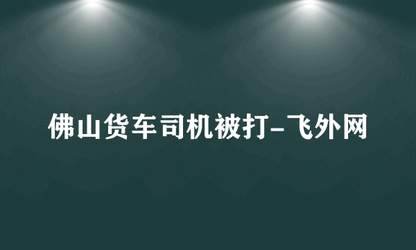 佛山货车司机被打-飞外网