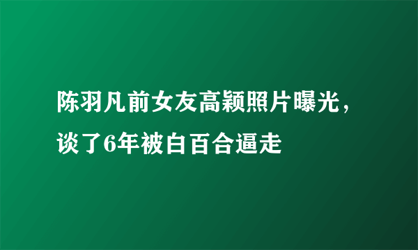 陈羽凡前女友高颖照片曝光，谈了6年被白百合逼走 