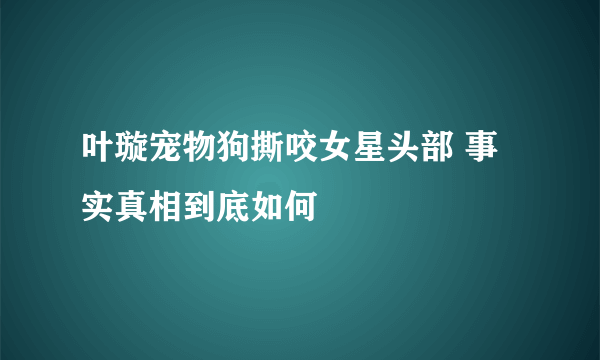 叶璇宠物狗撕咬女星头部 事实真相到底如何