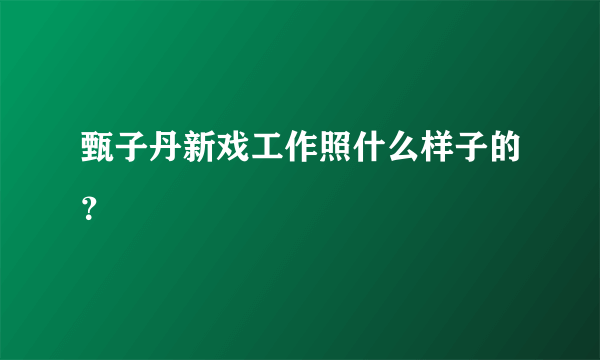 甄子丹新戏工作照什么样子的？