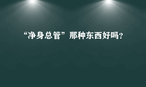 “净身总管”那种东西好吗？