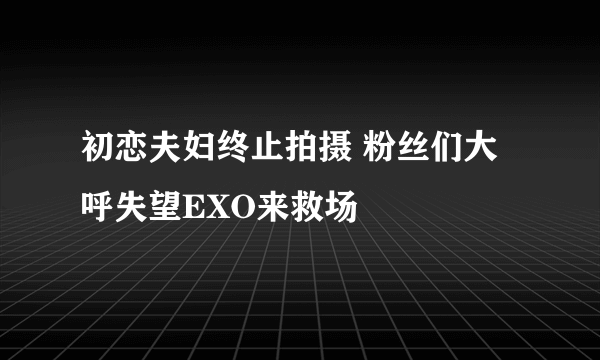 初恋夫妇终止拍摄 粉丝们大呼失望EXO来救场