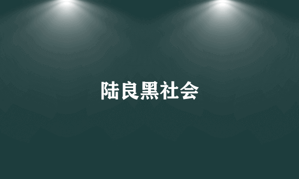 陆良黑社会