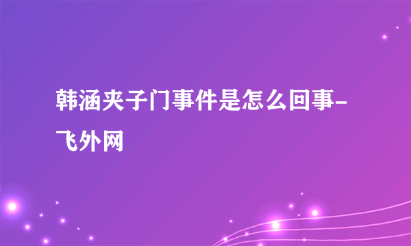 韩涵夹子门事件是怎么回事-飞外网