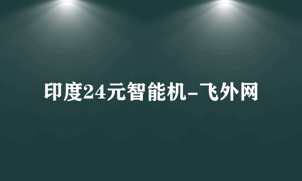 印度24元智能机-飞外网