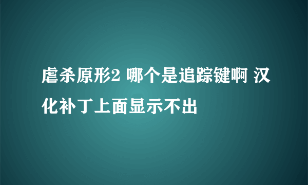 虐杀原形2 哪个是追踪键啊 汉化补丁上面显示不出