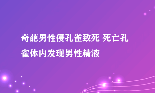 奇葩男性侵孔雀致死 死亡孔雀体内发现男性精液