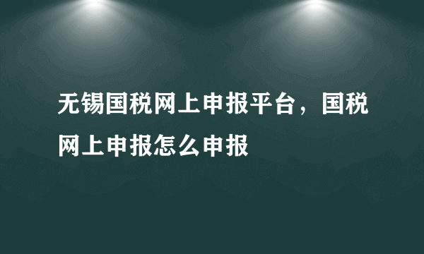 无锡国税网上申报平台，国税网上申报怎么申报