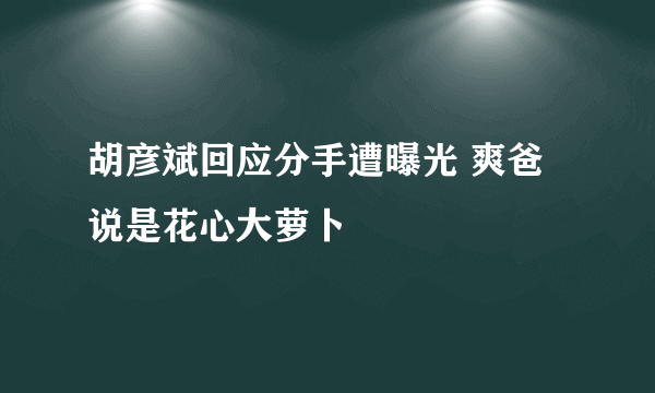 胡彦斌回应分手遭曝光 爽爸说是花心大萝卜