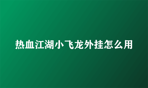 热血江湖小飞龙外挂怎么用