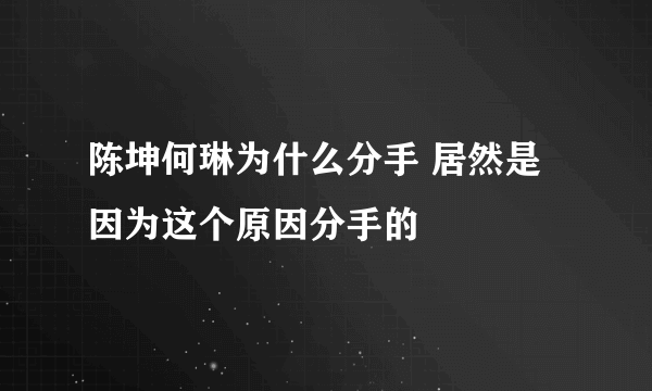 陈坤何琳为什么分手 居然是因为这个原因分手的