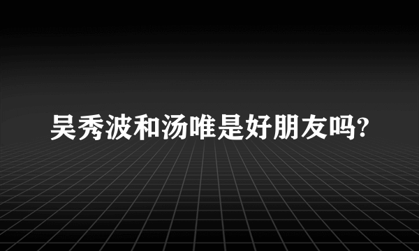 吴秀波和汤唯是好朋友吗?