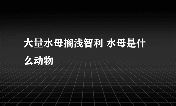 大量水母搁浅智利 水母是什么动物