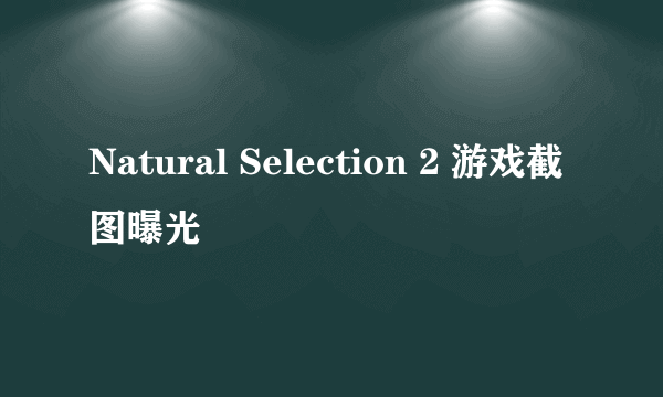 Natural Selection 2 游戏截图曝光