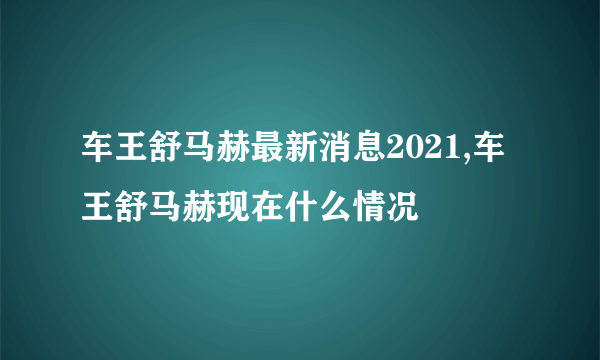 车王舒马赫最新消息2021,车王舒马赫现在什么情况