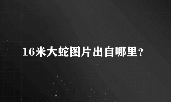 16米大蛇图片出自哪里？