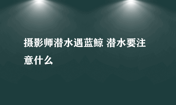 摄影师潜水遇蓝鲸 潜水要注意什么