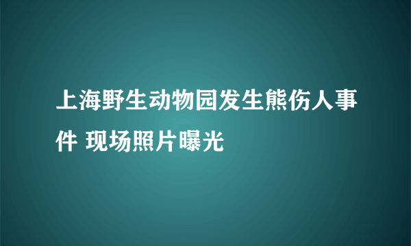 上海野生动物园发生熊伤人事件 现场照片曝光